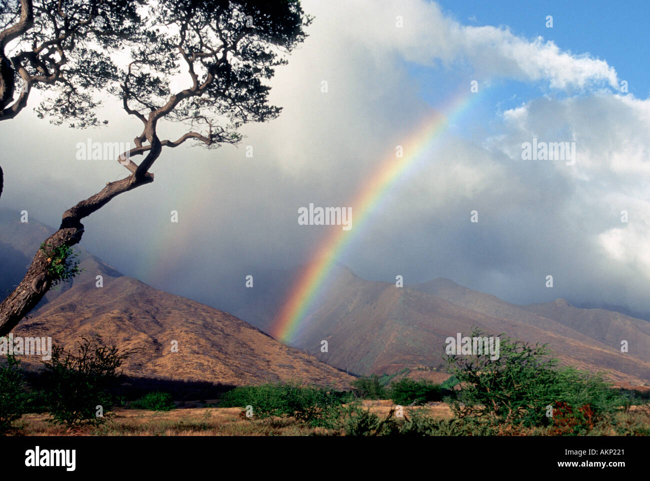 West maui mountains rainbow hi-res stock photography and images - Alamy