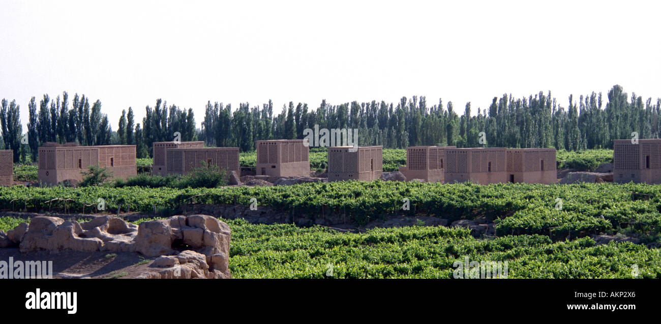 Grape drying huts in the Turfan valley, Xinjiang, China Stock Photo