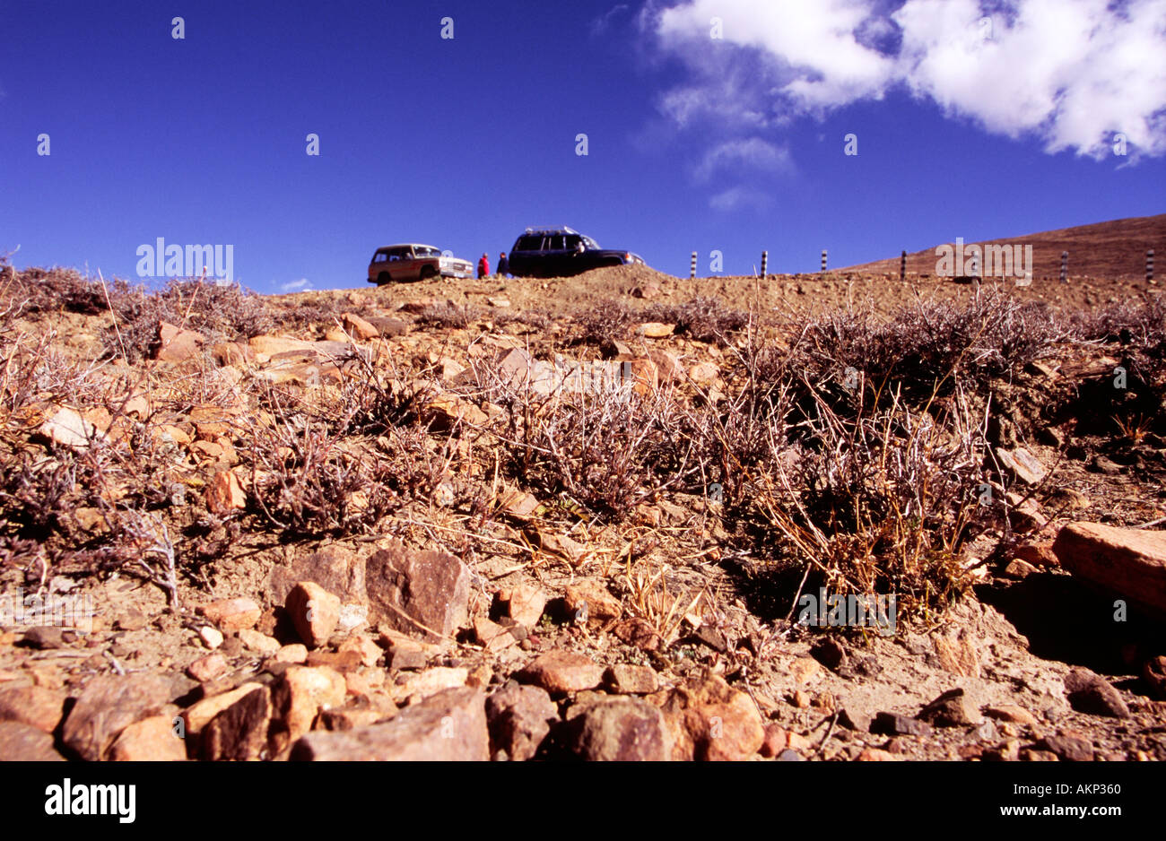 Focus on rough desert terrain with dried out plants on the dirt two