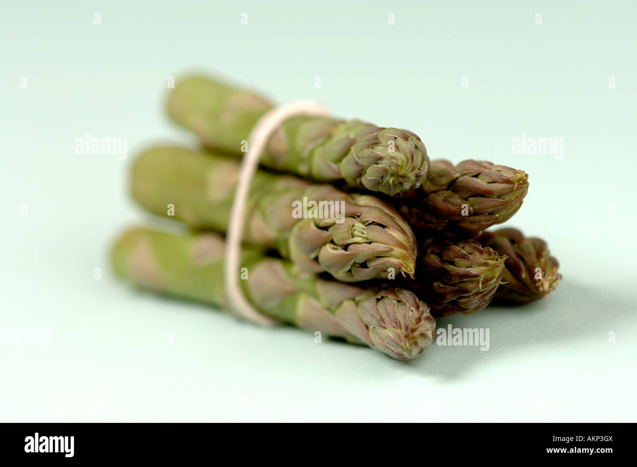 Bundle of asparagus Stock Photo
