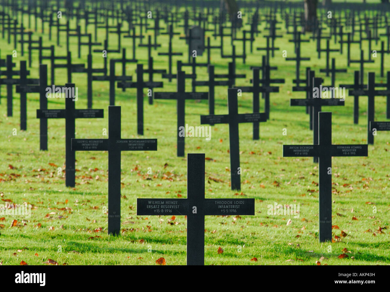 WW1 France photo postcard of mass grave near Sedan WW1 France photo postcard of mass grave near Sedan