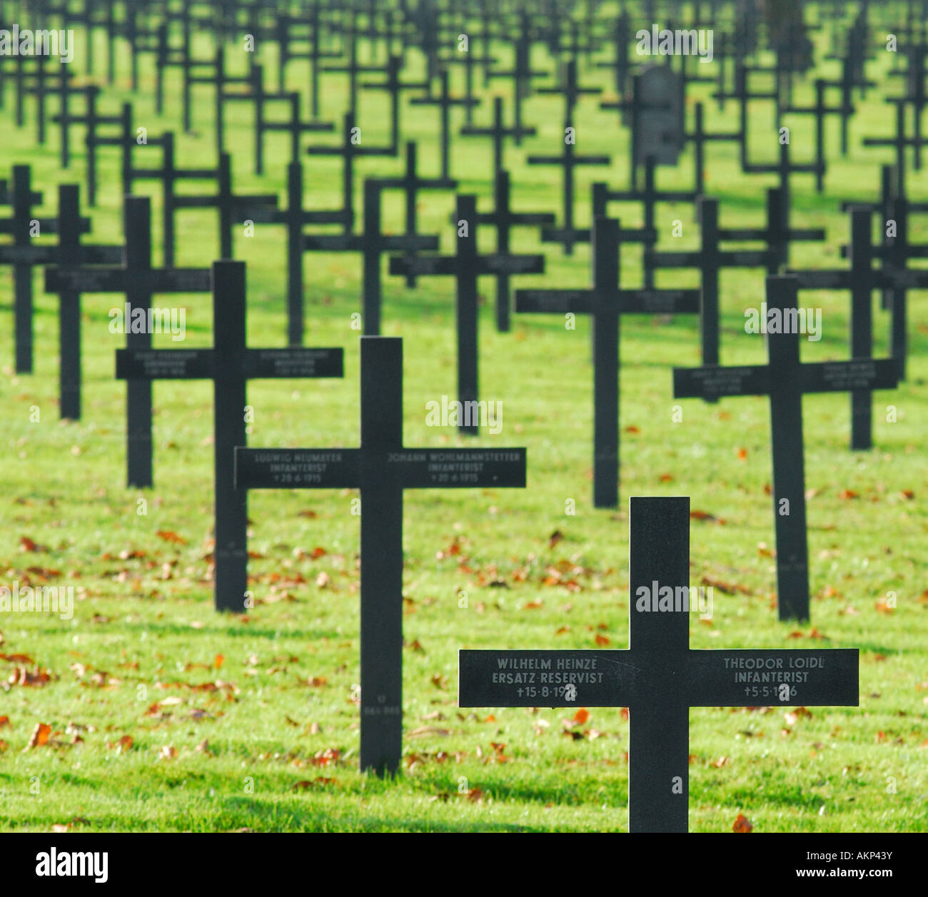 Mass of German war graves, World War One cemetery, France Stock Photo