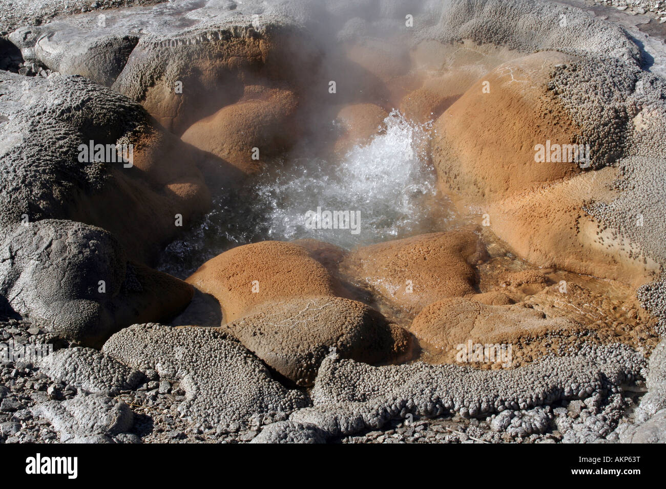Shell Spring, Biscuit Basin, Yellowstone National Park, Wyoming Stock Photo