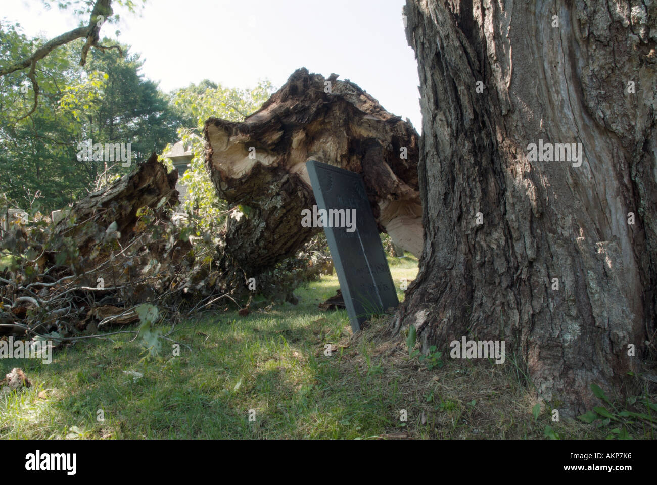 Broken old headstones in graveyard hi-res stock photography and images ...