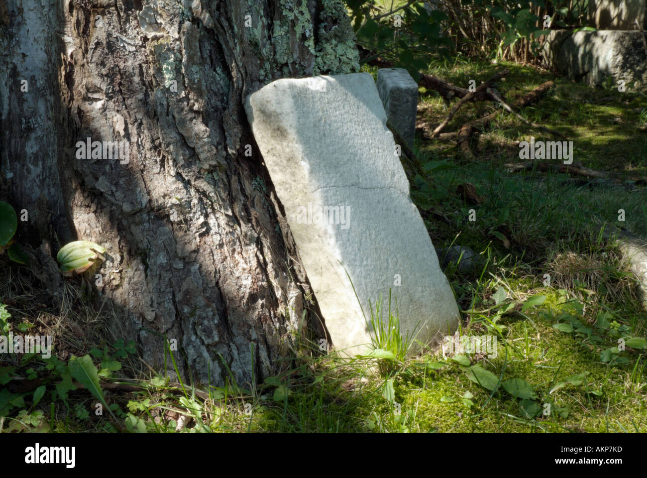 Broken old headstones in graveyard hi-res stock photography and images ...