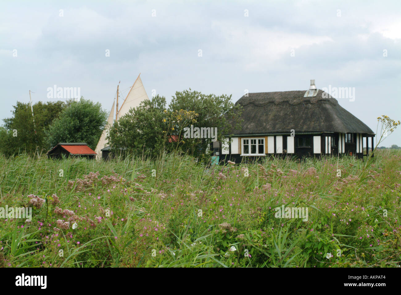 Thatched timberframed house on Hickling Broad, Norfolk Broads, England