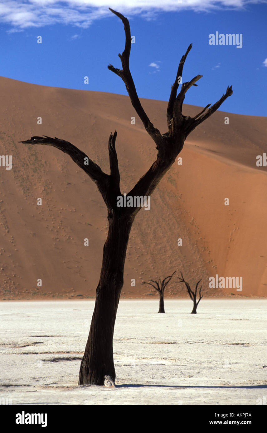Deadvlei hi-res stock photography and images - Alamy