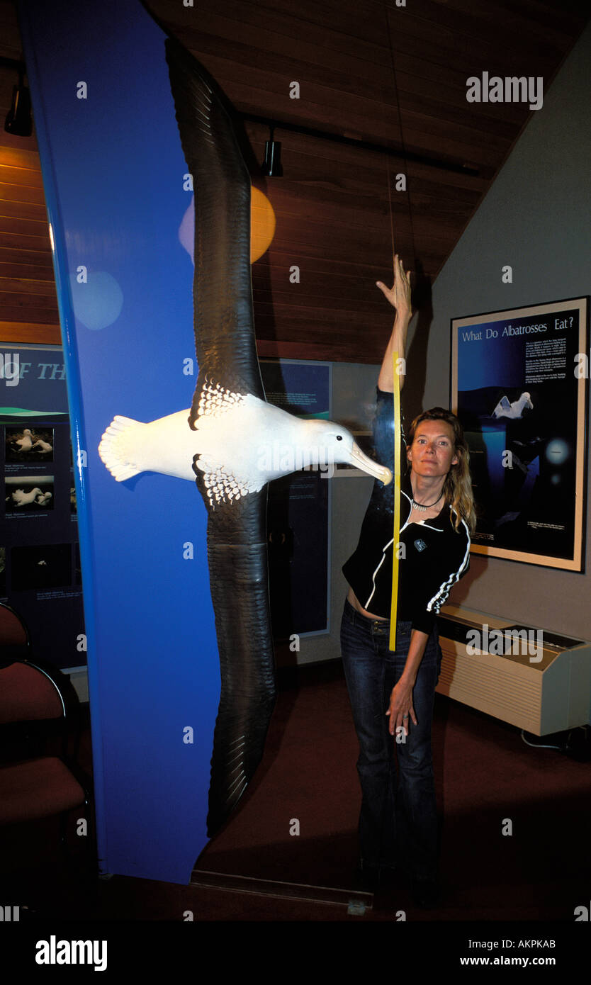 Dunedin Royal Albatross Centre Stock Photo - Alamy