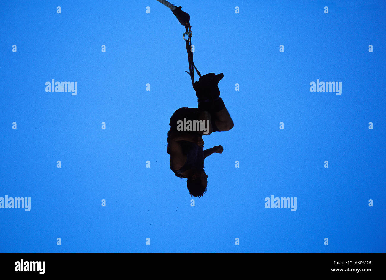 Queenstown bungy jumping Stock Photo Alamy