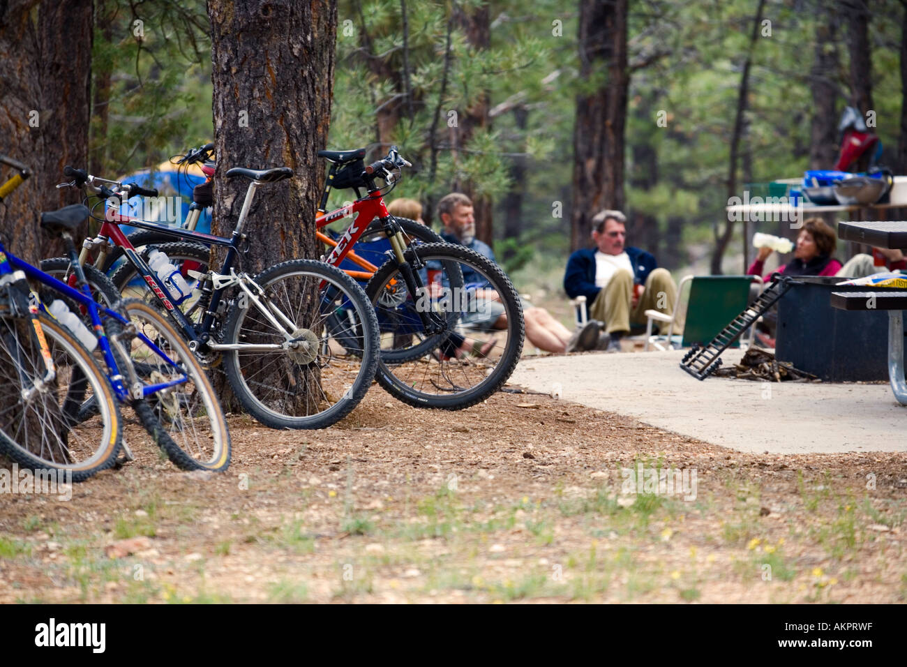 group with bikes camping at Tropic Reservoir, Utah Stock Photo Alamy