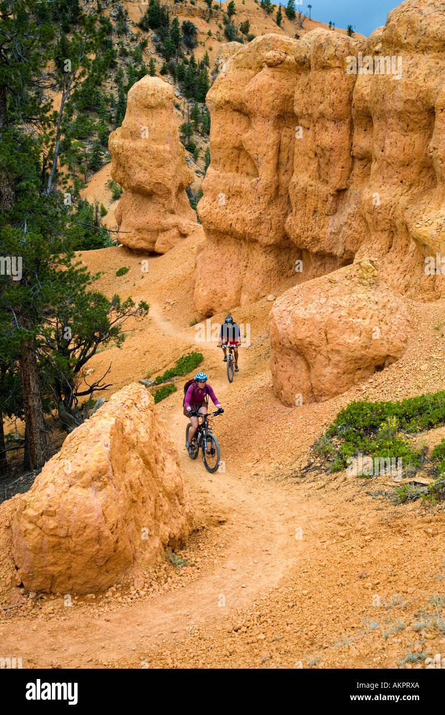thunder mountain bike trail