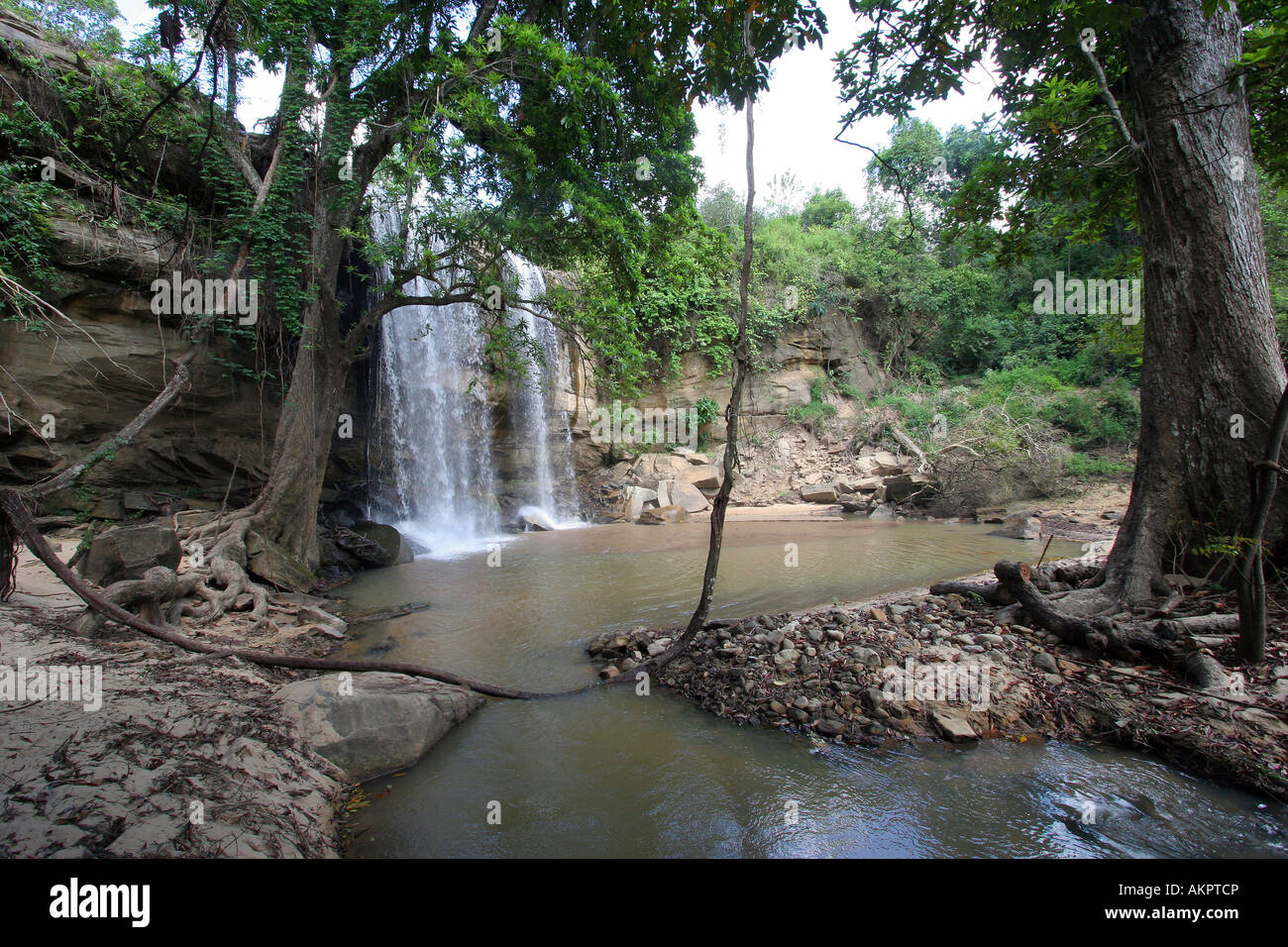 bush waterfall Stock Photo