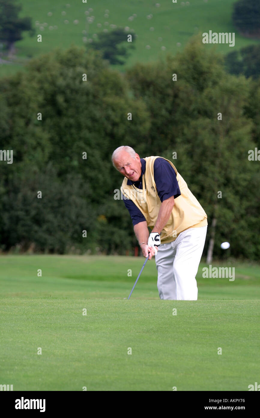 Chipping onto green hires stock photography and images Alamy
