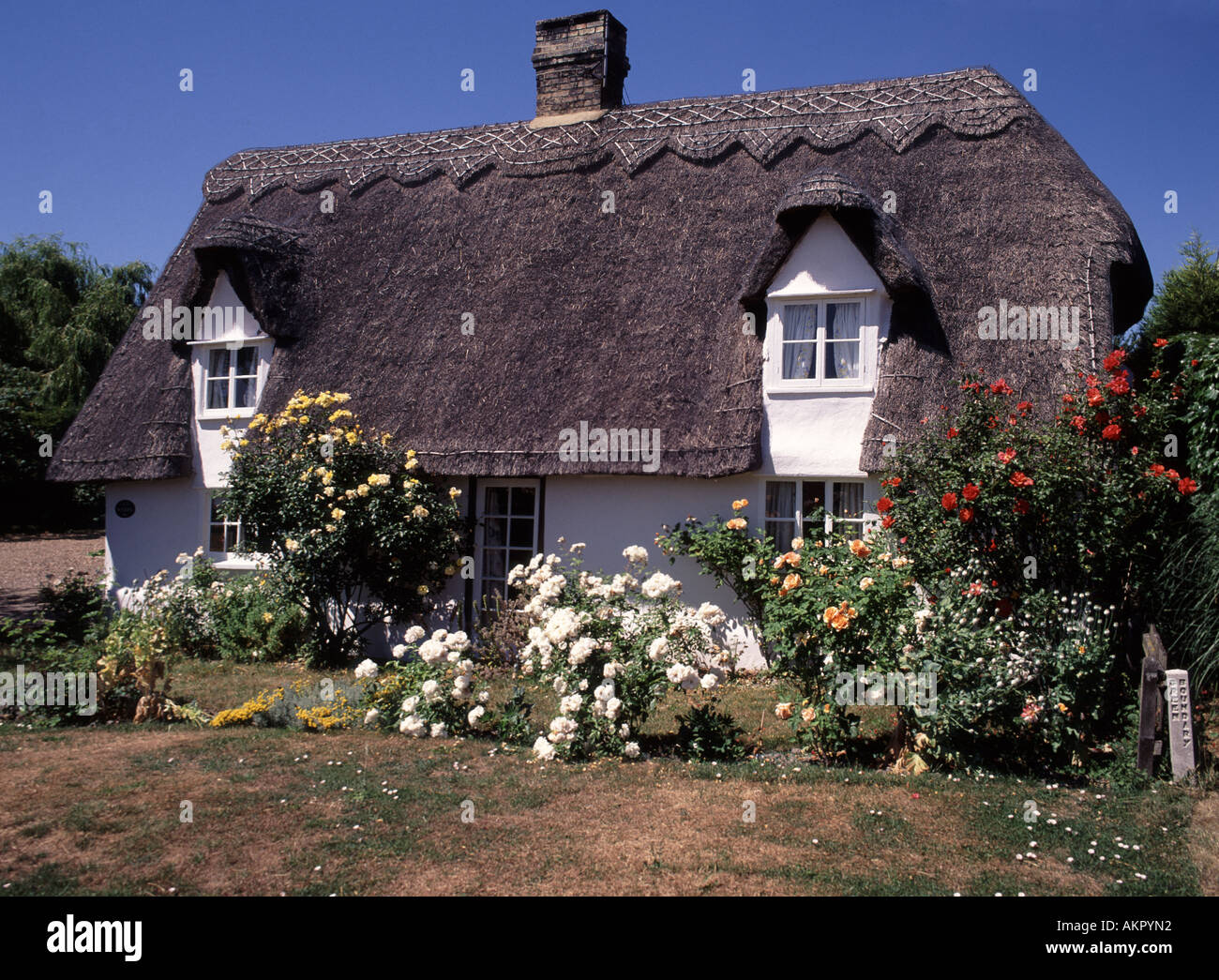 Roses garden cottage england hi-res stock photography and images - Alamy