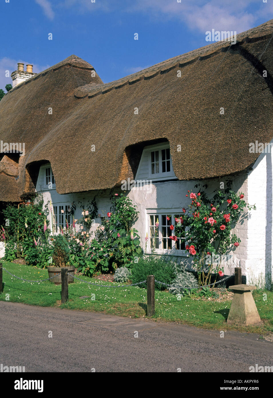 Summer view of roses in flower in front garden pretty English thatched roof country cottage