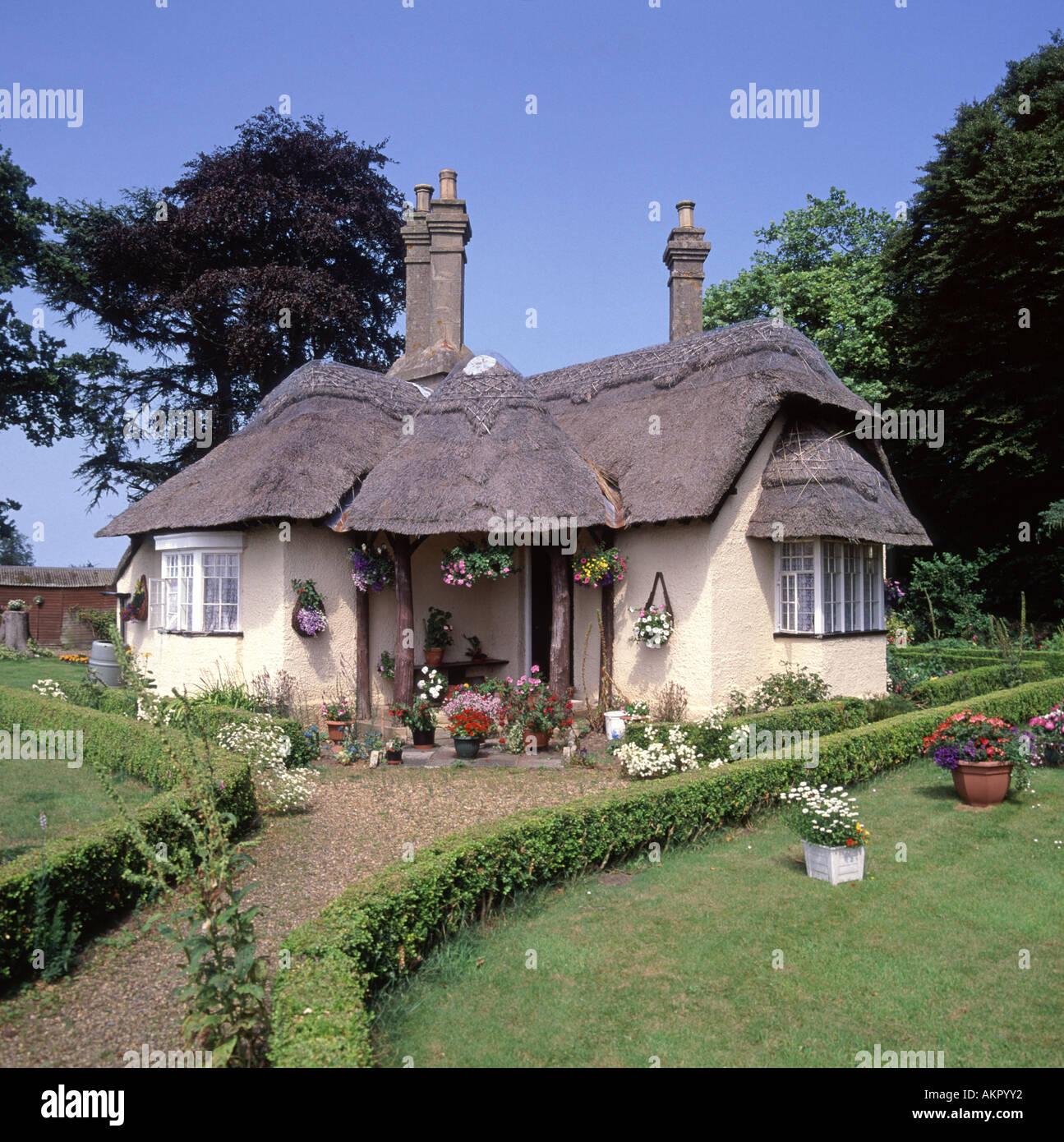 Somerleyton English village thatched roofed cottage country home and front garden Suffolk East Anglia England UK Stock Photo