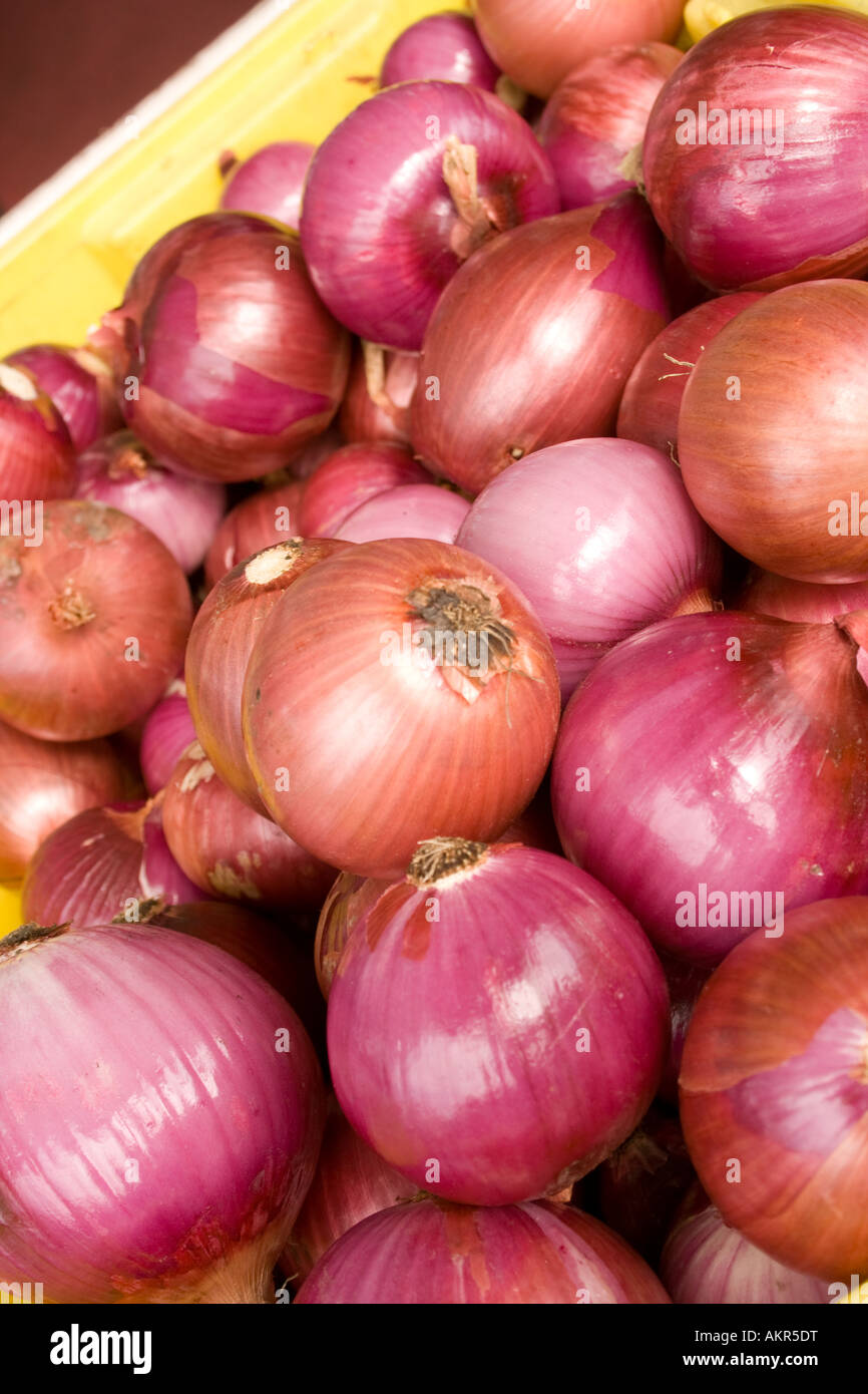 Red Onions in a bin for sale at a farmers market Madison Wisconsin