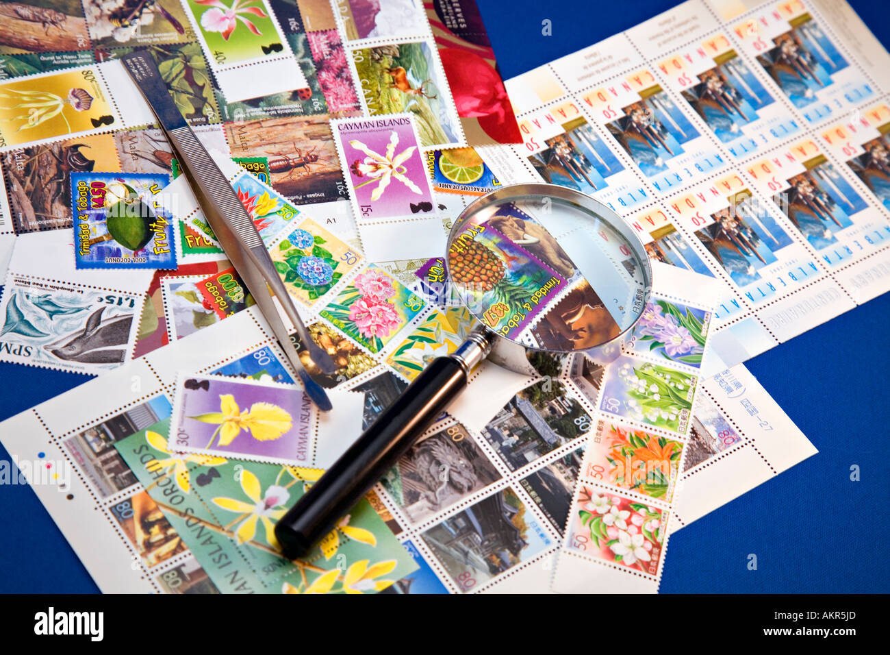 Stamp collection with magnifying glass and tongs Stock Photo