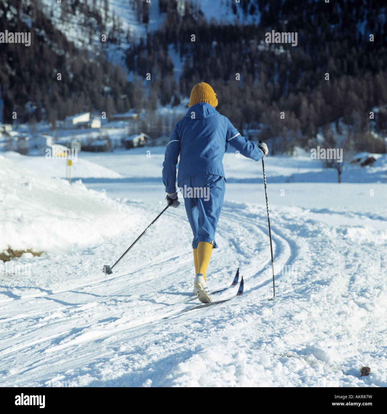 Switzerland, CHSilvaplana, Engadine, Graubuenden, winter, winter
