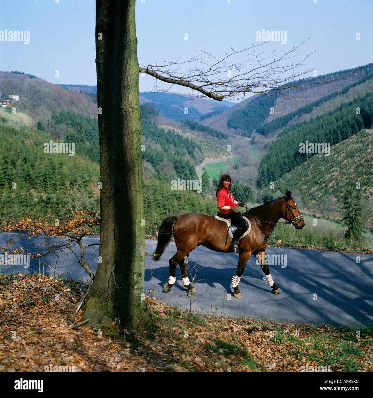 free time, sports, riding, horsewoman with her horse on a street in the Sauerland, in the background a low mountain range with a valley basin, hollow Stock Photo