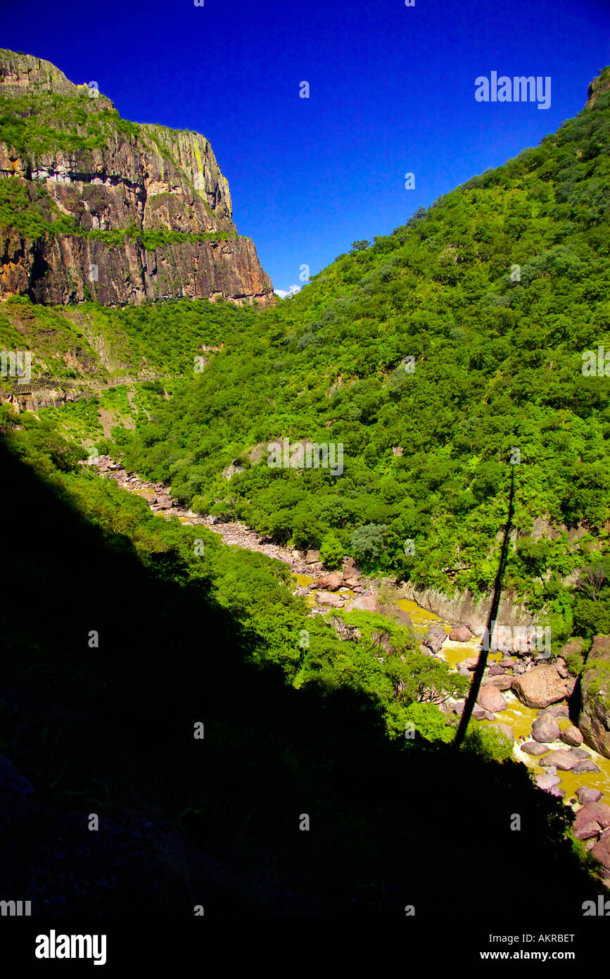 view from the train, copper canyon railway Stock Photo Alamy