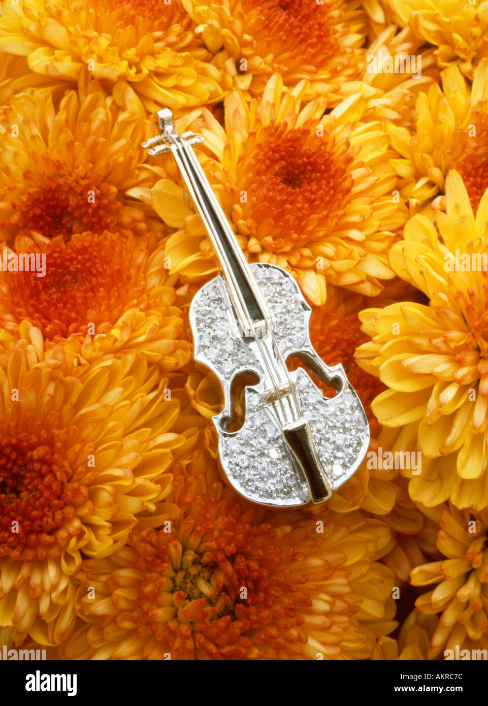 diamond violin jewelry pin on mums Stock Photo