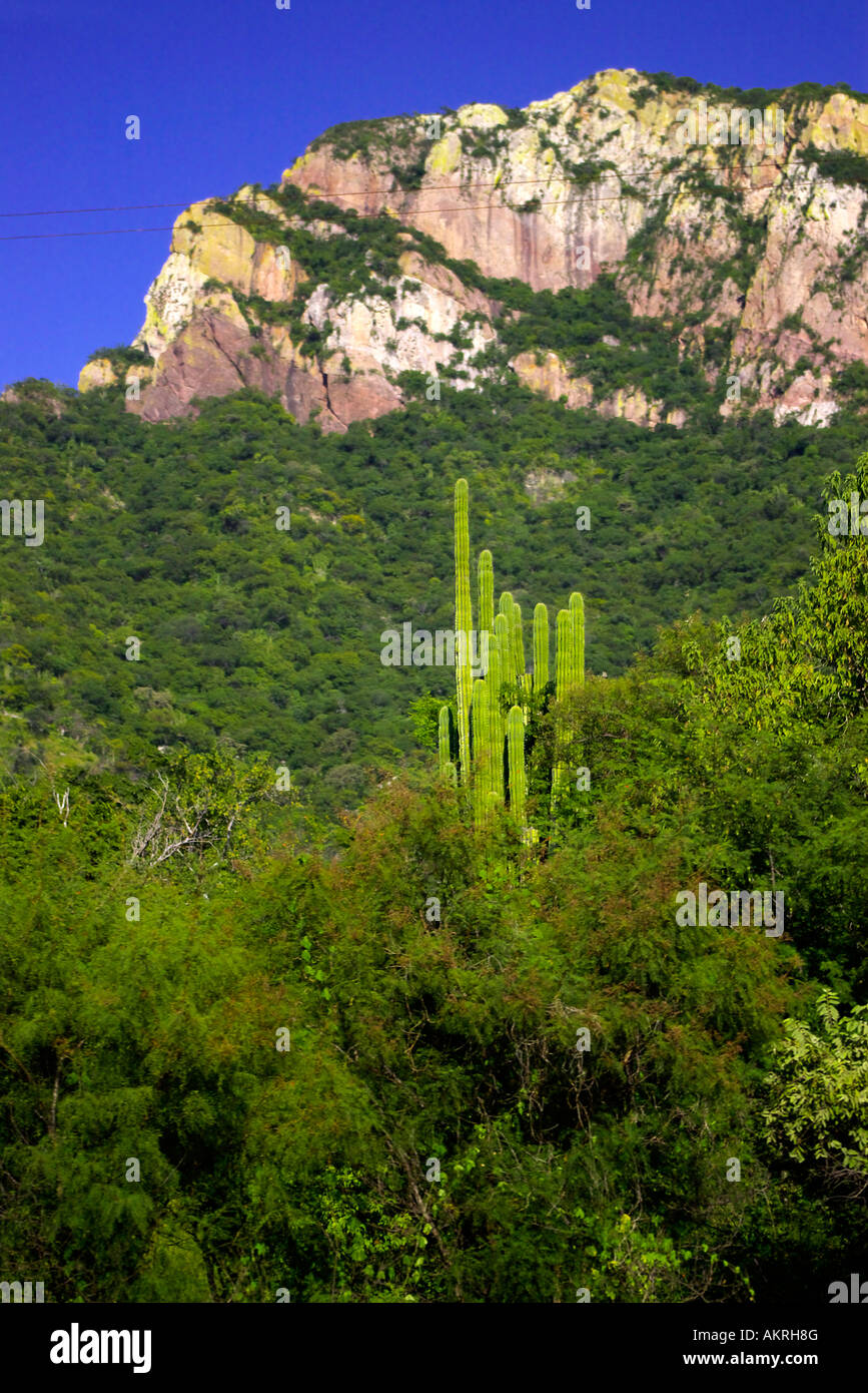 view, the copper canyon railway Stock Photo Alamy