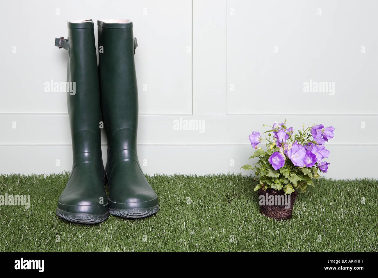 Rubber boots and flowers Stock Photo - Alamy