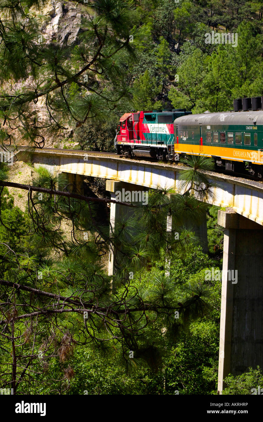 the copper canyon railway Stock Photo - Alamy