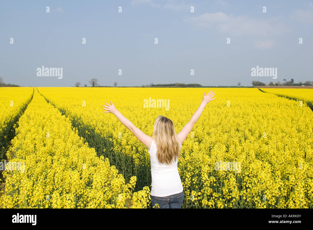 Woman in a field Stock Photo