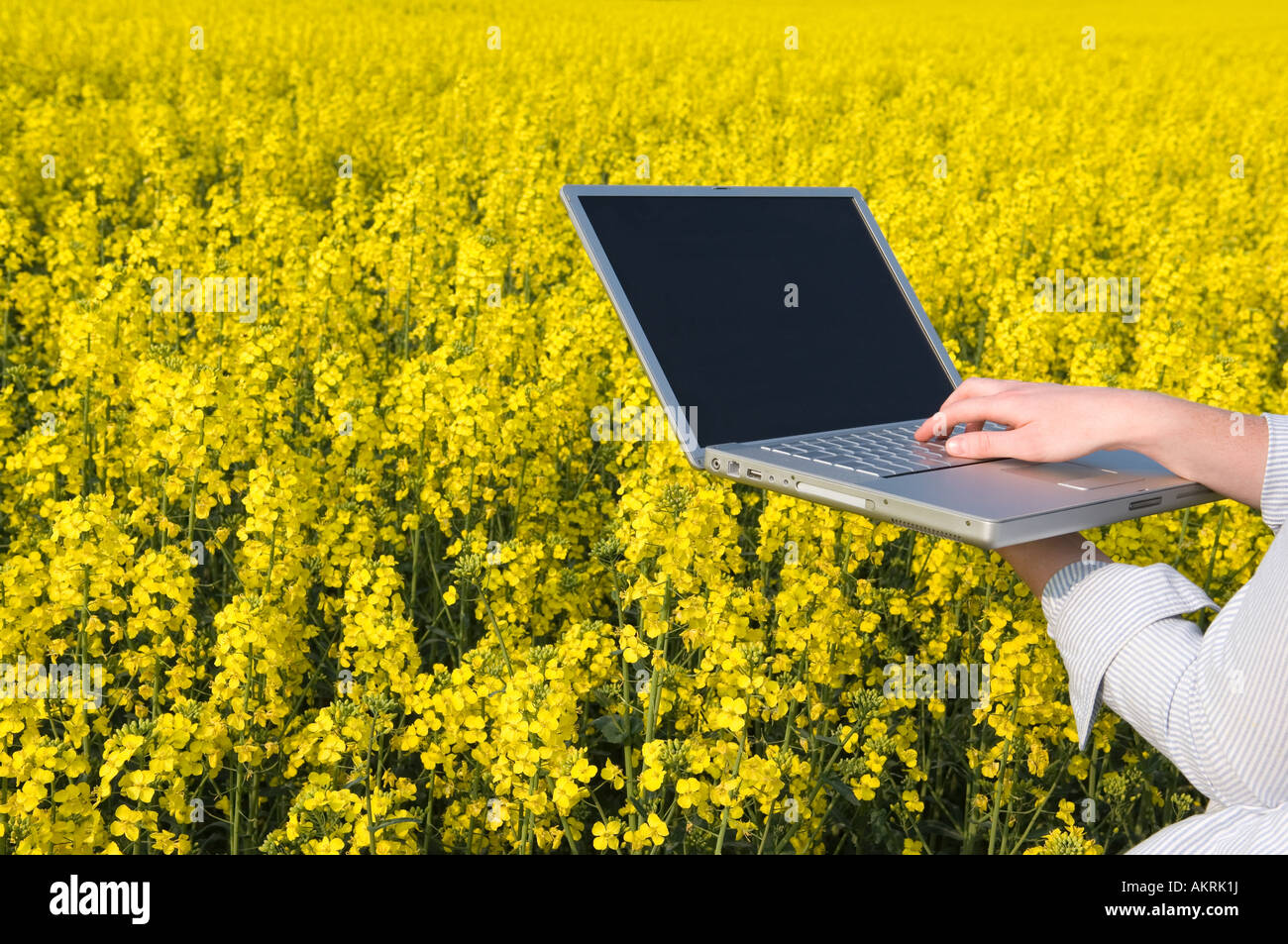 Person with laptop in field Stock Photo