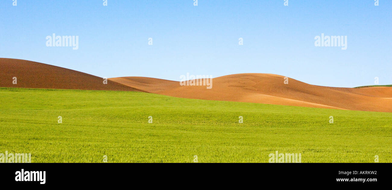 Agricultural fields the Palouse Eastern Washington USA in late Spring ...