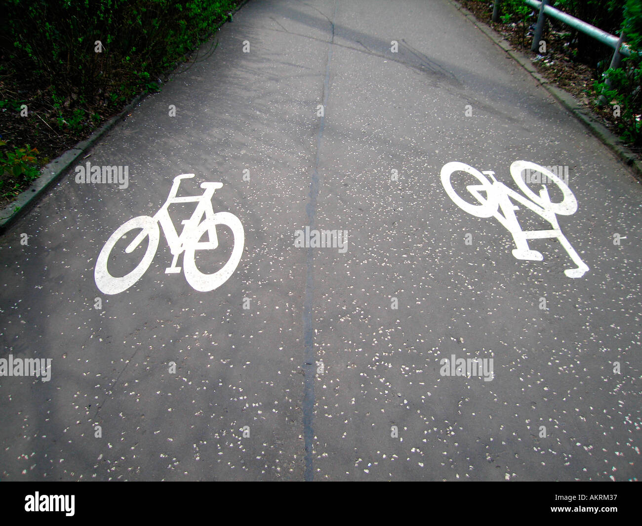 Two way cycle lane markings Stock Photo