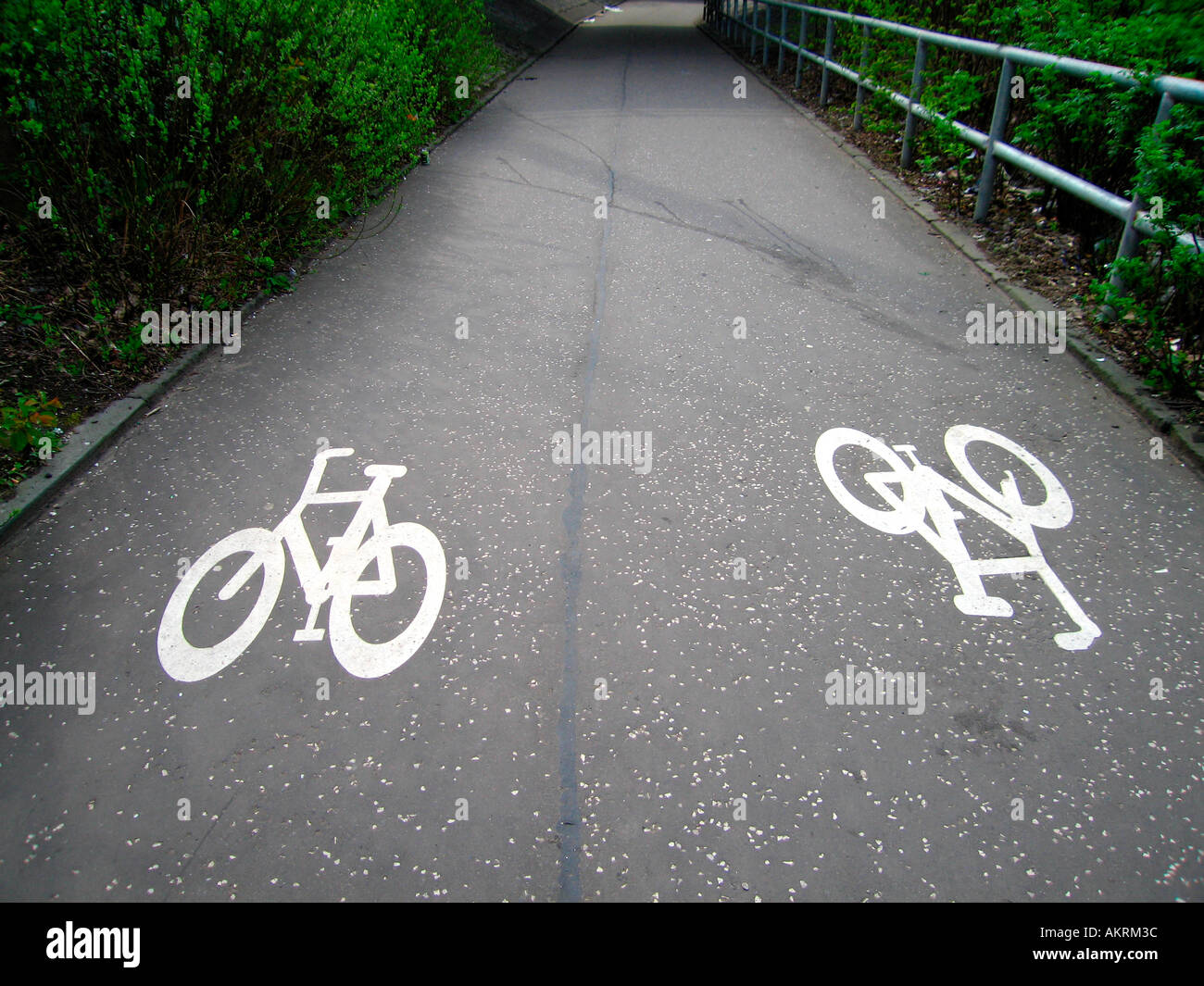 Two way cycle lane markings Stock Photo