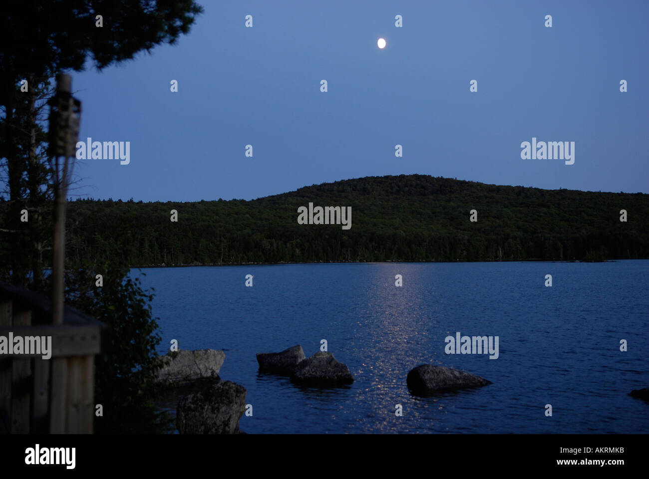 Stock image of Skiff Lake under a full moon Stock Photo Alamy