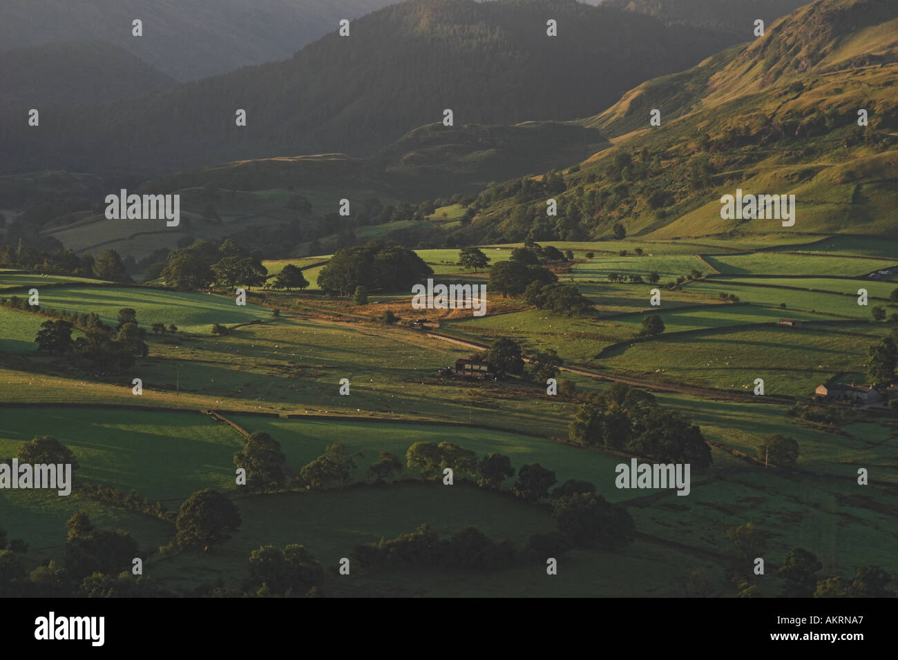 fields in the lake district with the northern fells behind Stock Photo