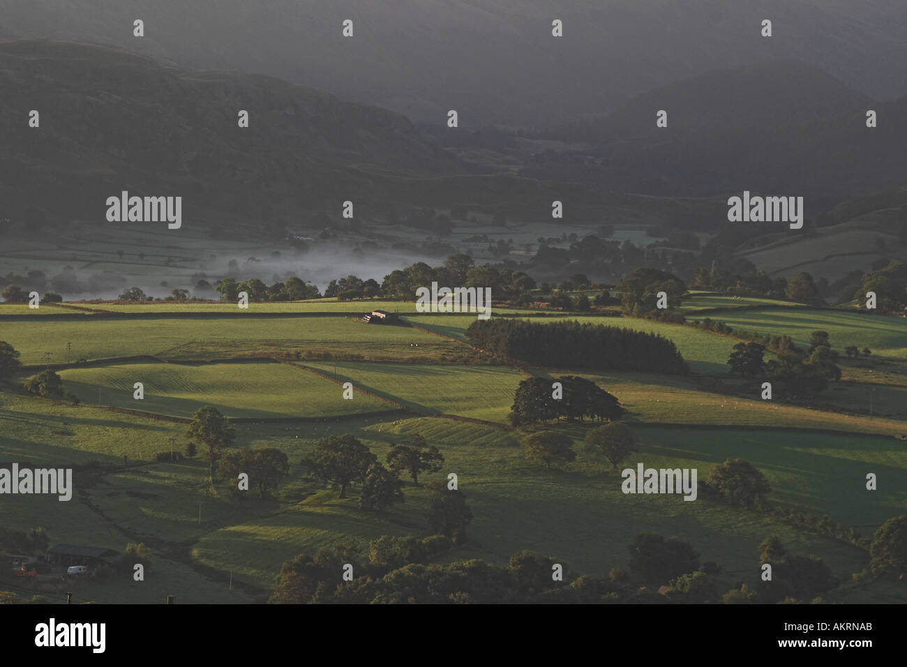 fields in the lake district with the northern fells behind Stock Photo