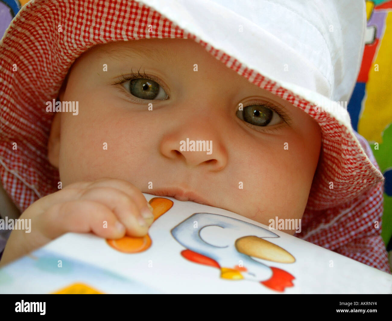 portrait of a baby of 8 months with sun hat and picture book Stock Photo