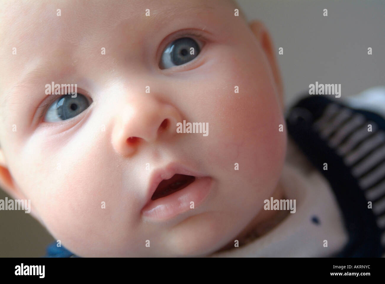 portrait of a baby of 6 months Stock Photo