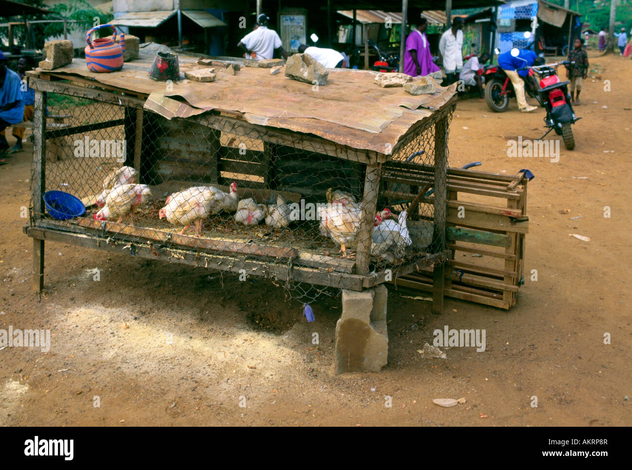 Outdoor market chickens in a pen Stock Photo
