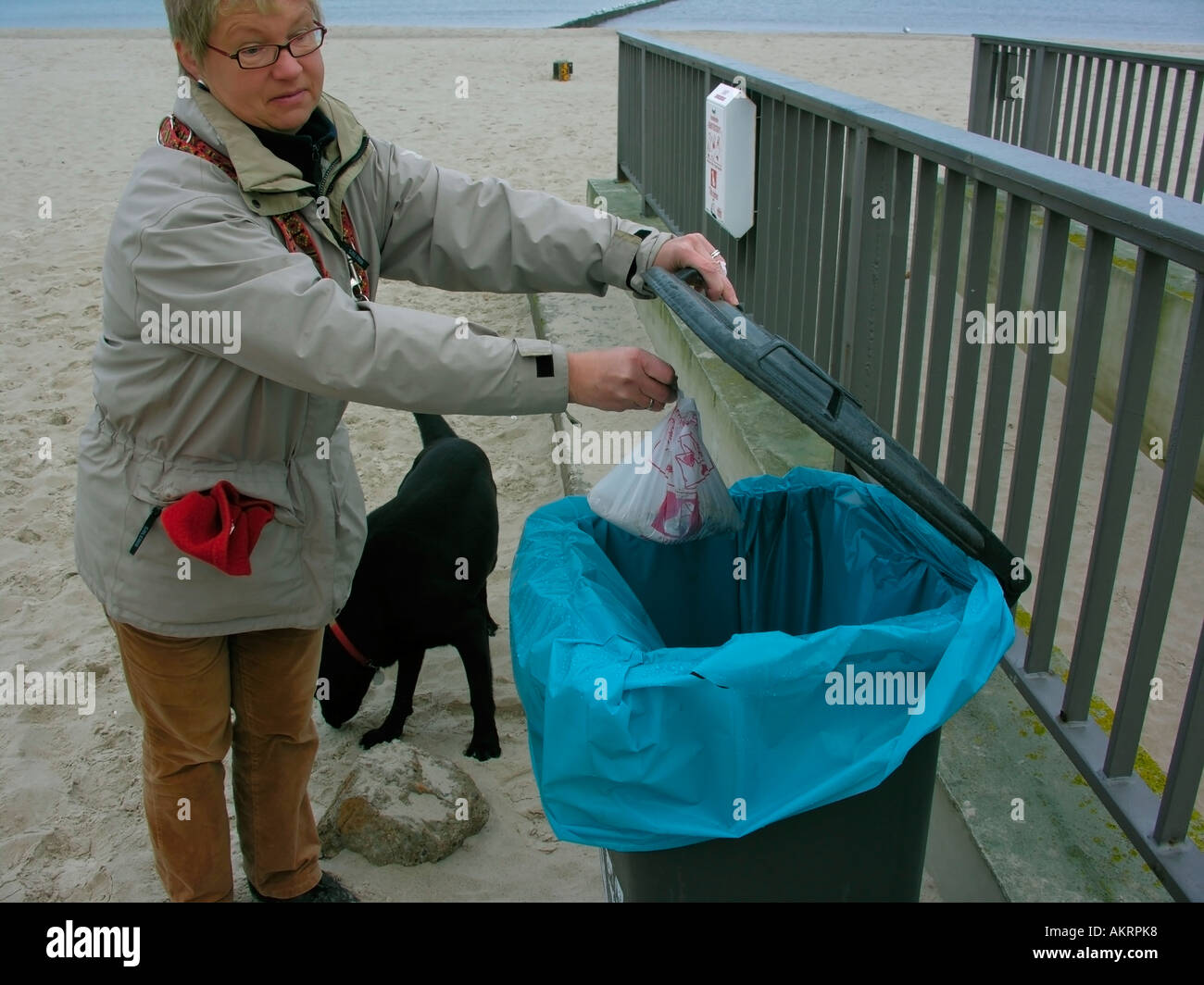 woman with a black hybrid dog Labrador Border Collie mix on beach in Usedom disposing a plastic bag with dog dirt doggie do into Stock Photo
