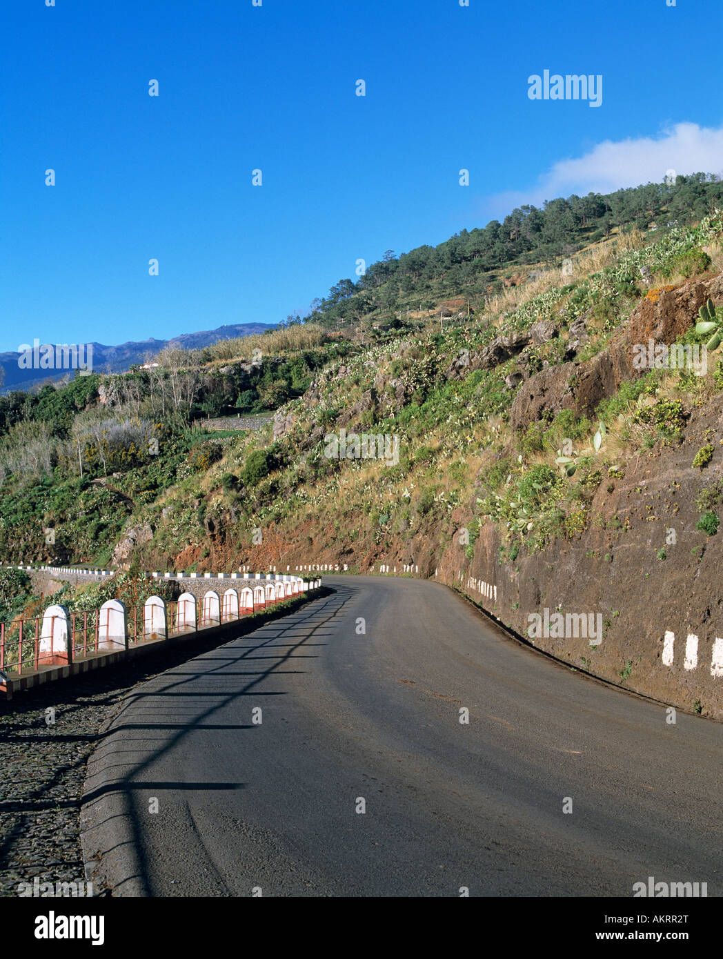 Landstrasse, Poller, scharfe Strassenkurve, Madeira, Portugal Stock Photo
