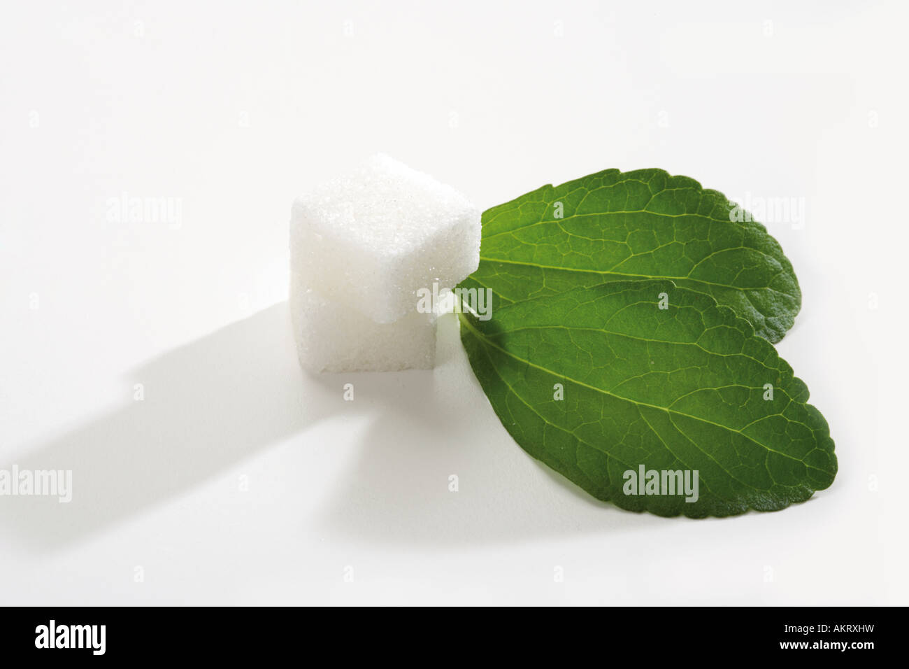 Stevia and sugar cube, closeup Stock Photo Alamy