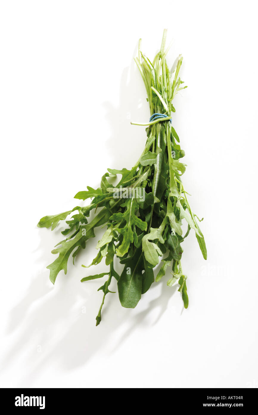 Bunch of rocket, close-up Stock Photo