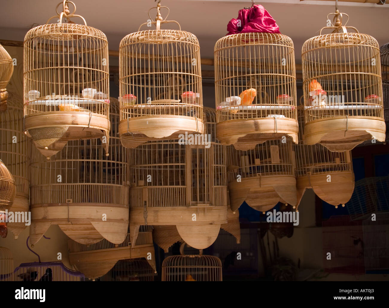 birds in a cage, Hanoi Stock Photo Alamy