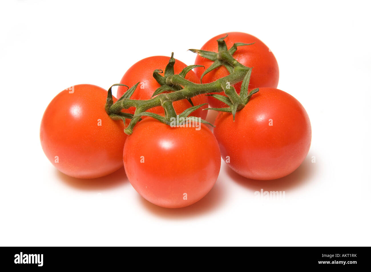 Vine Tomatoes Isolated On A White Studio Background Stock Photo Alamy