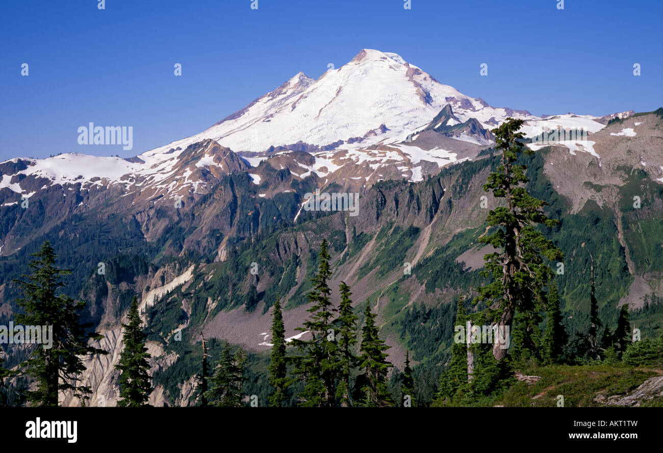 A view of Mount Baker a towering volcanic peak in North Cascades National Park, Washington. Stock Photo
