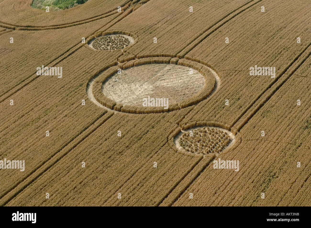 Crop circles in Wiltshire South West England Stock Photo