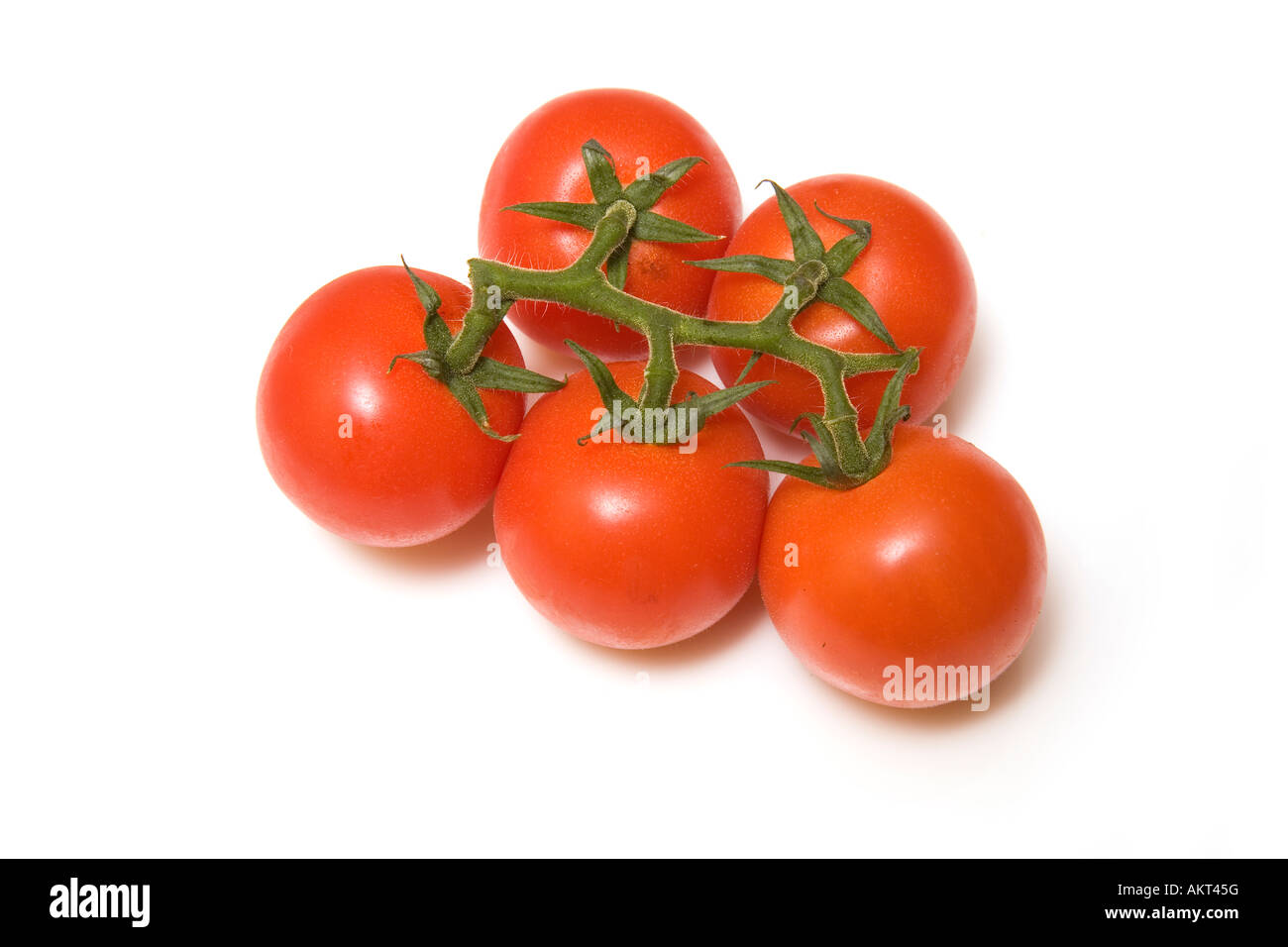 Vine tomatoes isolated on a white studio background Stock Photo - Alamy