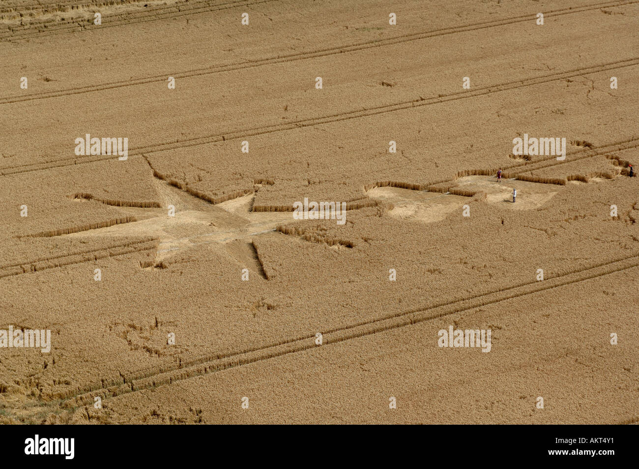 Crop circles in Wiltshire South West England Stock Photo